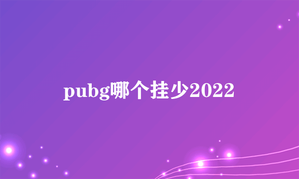 pubg哪个挂少2022