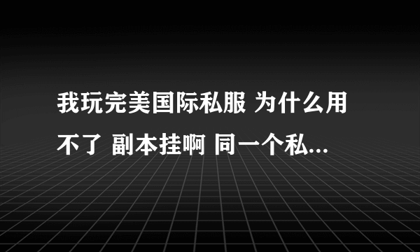 我玩完美国际私服 为什么用不了 副本挂啊 同一个私服同一个挂，别人 能用  我就不能用？哪位大侠给指点一