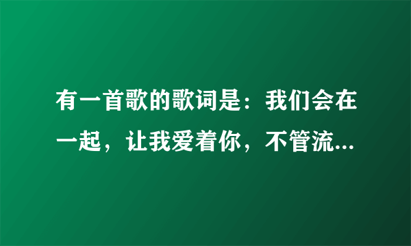 有一首歌的歌词是：我们会在一起，让我爱着你，不管流言蜚语，我会保护你。这首歌的名字叫什么？