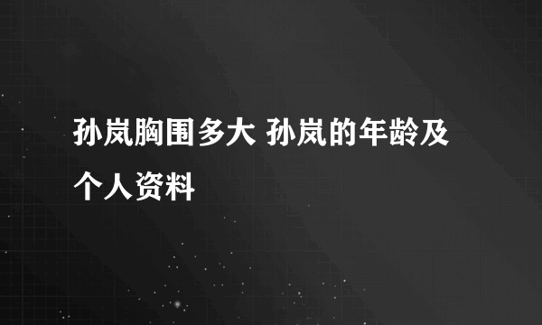 孙岚胸围多大 孙岚的年龄及个人资料