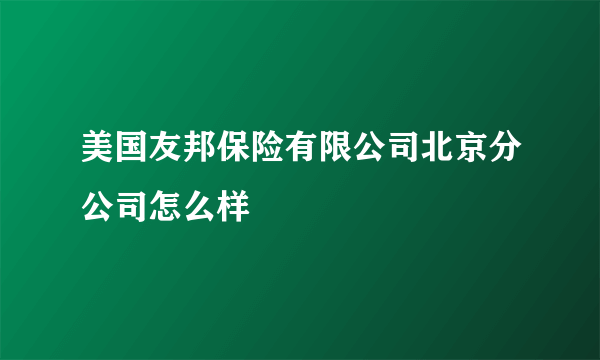 美国友邦保险有限公司北京分公司怎么样