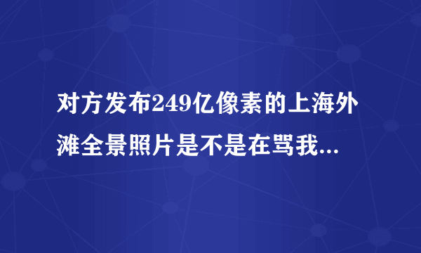 对方发布249亿像素的上海外滩全景照片是不是在骂我250？