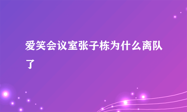 爱笑会议室张子栋为什么离队了