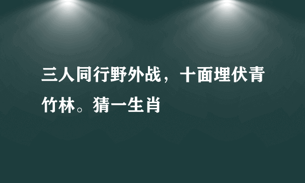 三人同行野外战，十面埋伏青竹林。猜一生肖