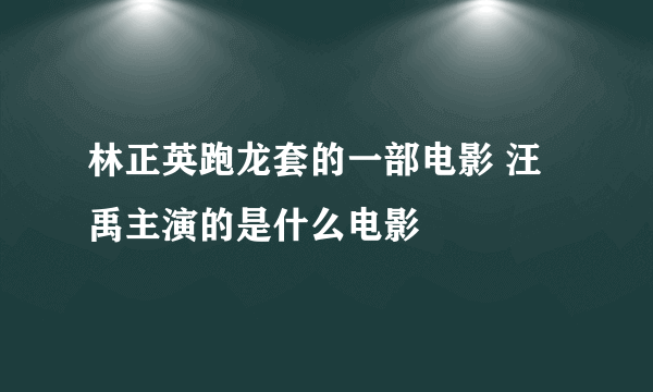 林正英跑龙套的一部电影 汪禹主演的是什么电影