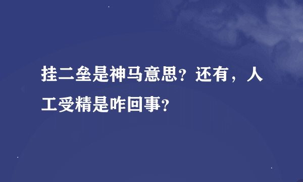 挂二垒是神马意思？还有，人工受精是咋回事？