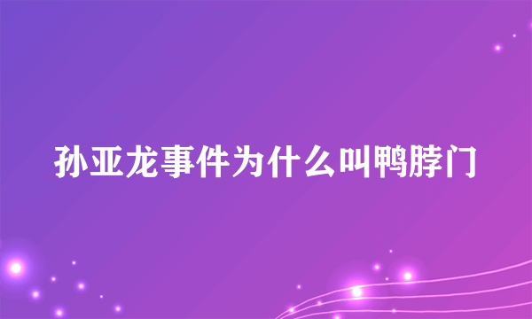 孙亚龙事件为什么叫鸭脖门