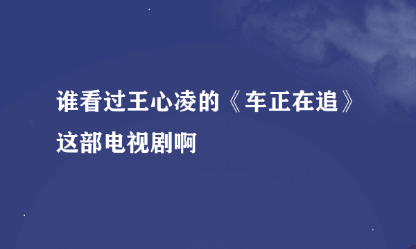 谁看过王心凌的《车正在追》这部电视剧啊