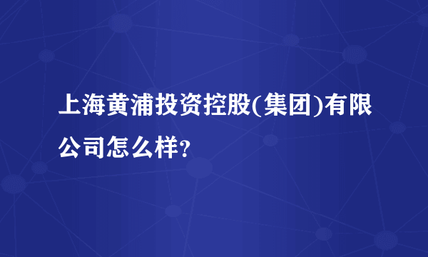 上海黄浦投资控股(集团)有限公司怎么样？