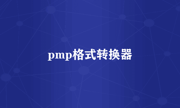 pmp格式转换器