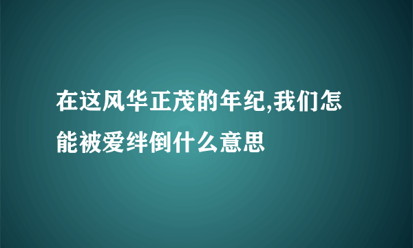 在这风华正茂的年纪,我们怎能被爱绊倒什么意思