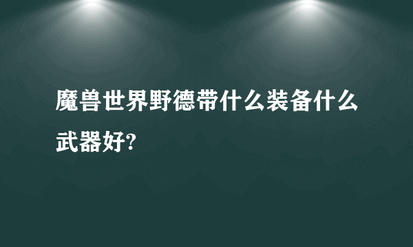 魔兽世界野德带什么装备什么武器好?