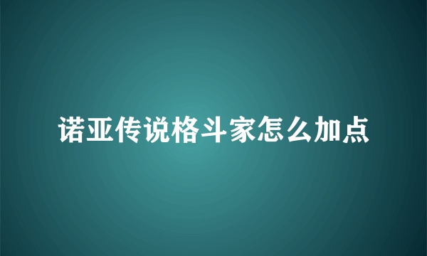 诺亚传说格斗家怎么加点