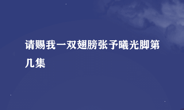 请赐我一双翅膀张予曦光脚第几集