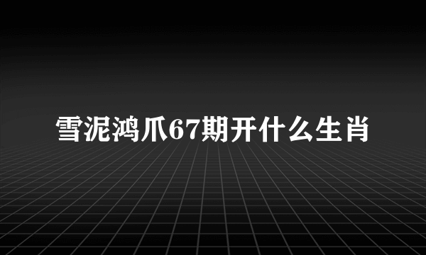 雪泥鸿爪67期开什么生肖