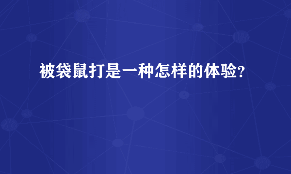 被袋鼠打是一种怎样的体验？