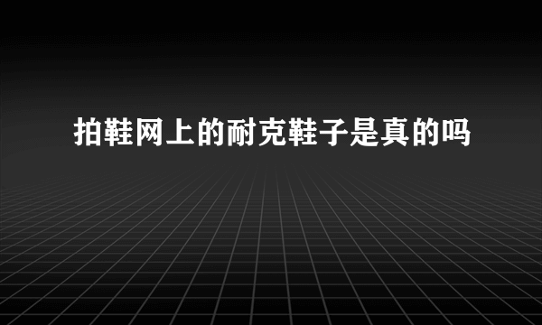 拍鞋网上的耐克鞋子是真的吗