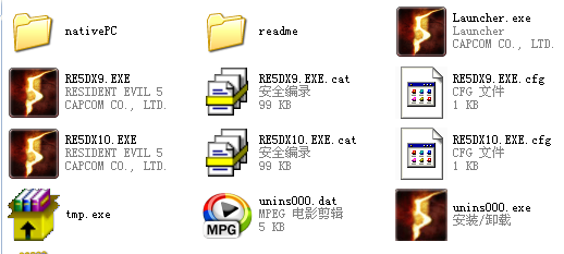 为什么用的生化五玩不了！说找不到文件RE5DX9.exe