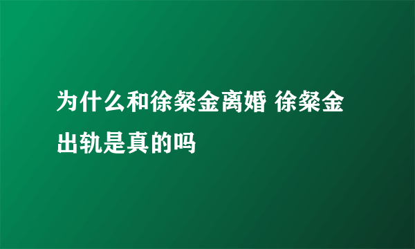 为什么和徐粲金离婚 徐粲金出轨是真的吗