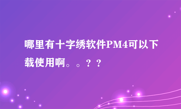 哪里有十字绣软件PM4可以下载使用啊。。？？