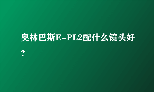 奥林巴斯E-PL2配什么镜头好？