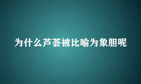 为什么芦荟被比喻为象胆呢