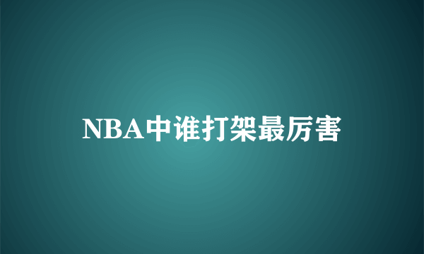 NBA中谁打架最厉害