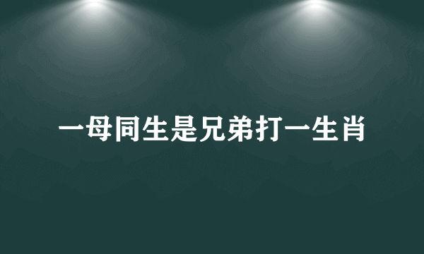 一母同生是兄弟打一生肖