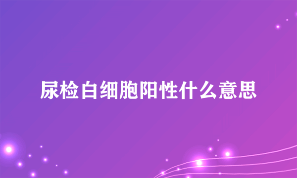 尿检白细胞阳性什么意思