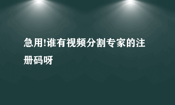 急用!谁有视频分割专家的注册码呀