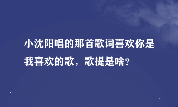 小沈阳唱的那首歌词喜欢你是我喜欢的歌，歌提是啥？