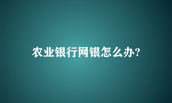 农业银行网银怎么办?