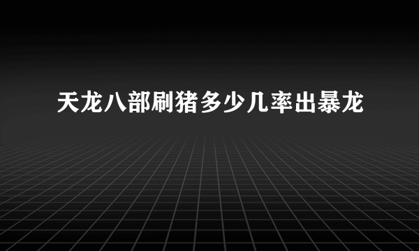 天龙八部刷猪多少几率出暴龙