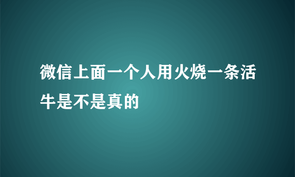 微信上面一个人用火烧一条活牛是不是真的