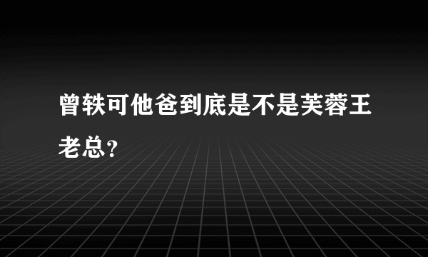 曾轶可他爸到底是不是芙蓉王老总？