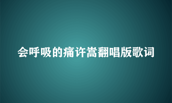 会呼吸的痛许嵩翻唱版歌词