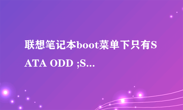 联想笔记本boot菜单下只有SATA ODD ;SATA HDD ;Network Boot 分表代表优先启动什么？？