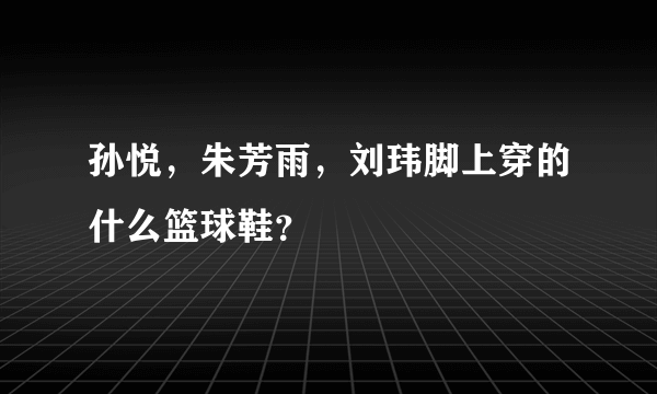 孙悦，朱芳雨，刘玮脚上穿的什么篮球鞋？