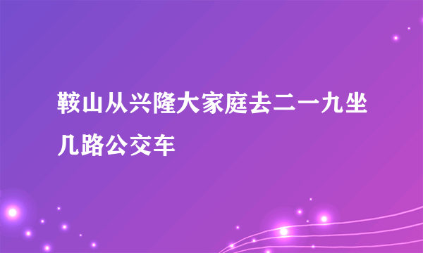 鞍山从兴隆大家庭去二一九坐几路公交车