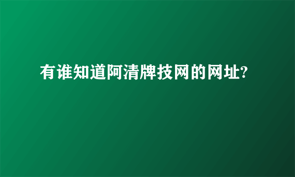 有谁知道阿清牌技网的网址?