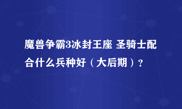 魔兽争霸3冰封王座 圣骑士配合什么兵种好（大后期）？