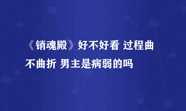 《销魂殿》好不好看 过程曲不曲折 男主是病弱的吗