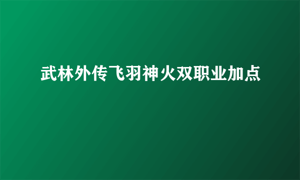 武林外传飞羽神火双职业加点