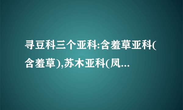 寻豆科三个亚科:含羞草亚科(含羞草),苏木亚科(凤凰木),蝶形花亚科(蚕豆)的植物检索表