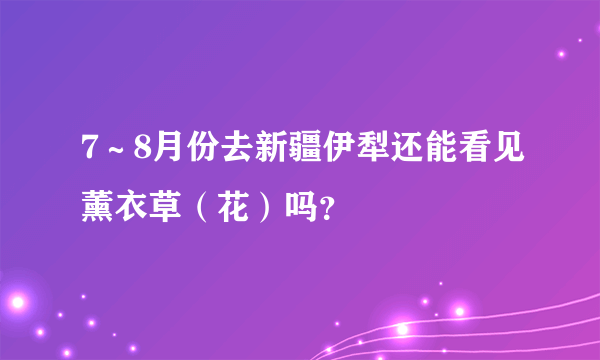 7～8月份去新疆伊犁还能看见薰衣草（花）吗？