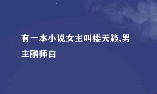 有一本小说女主叫楼天籁,男主鹂师白