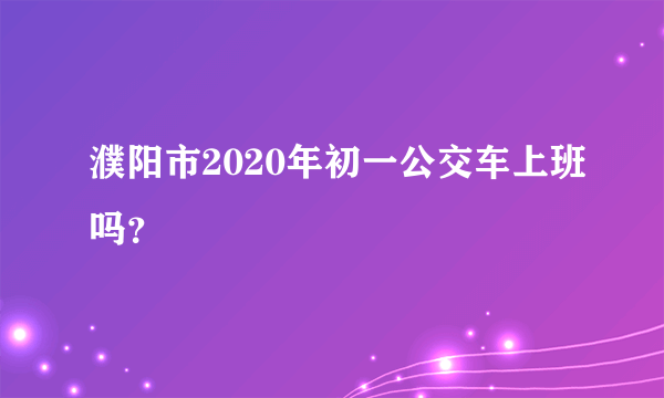 濮阳市2020年初一公交车上班吗？