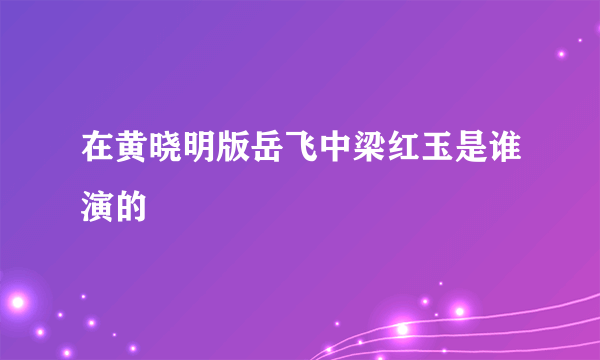 在黄晓明版岳飞中梁红玉是谁演的