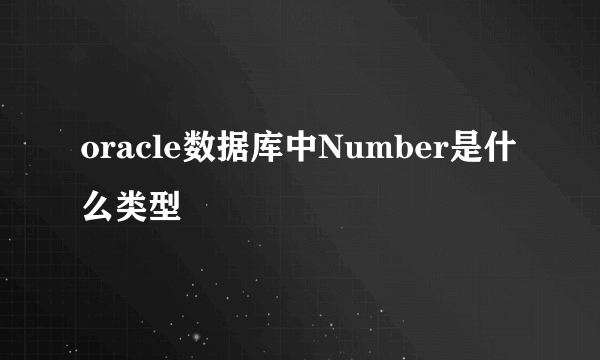 oracle数据库中Number是什么类型