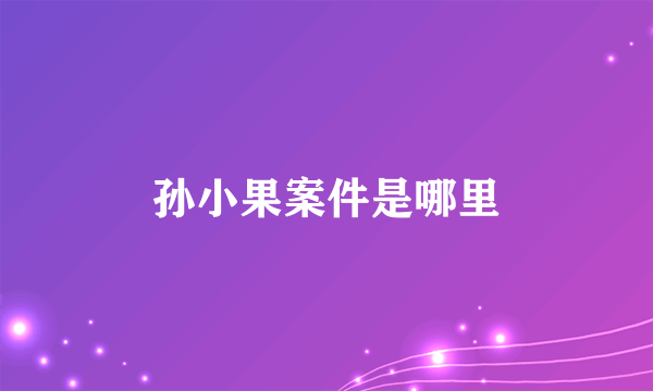 孙小果案件是哪里